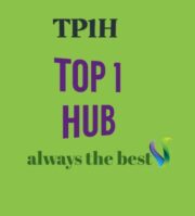 toponehub.com